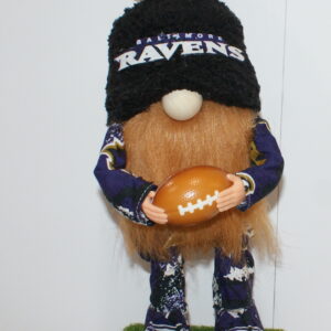 Football Baltimore Ravens 2
