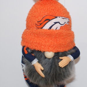 Football Denver Broncos 5