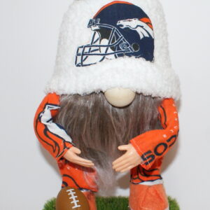 Football Denver Broncos 2