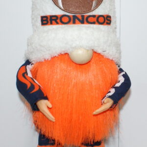 Football Denver Broncos 3