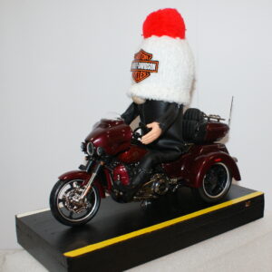 Misc Gnomes Harley 4