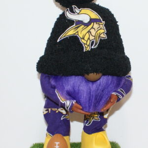 Football Vikings 5