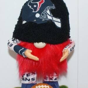 Football Houston Texans 1
