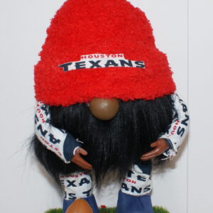 Football Houston Texans 2