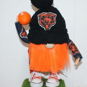 Football Chicago Bears 4