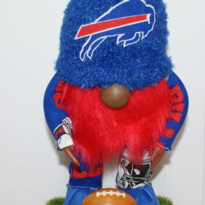 Football Buffalo Bills 3