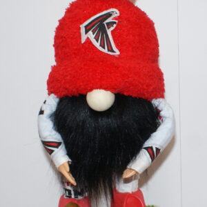 Football Alanta Falcons 1