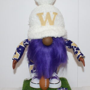 Football UW Huskies 21