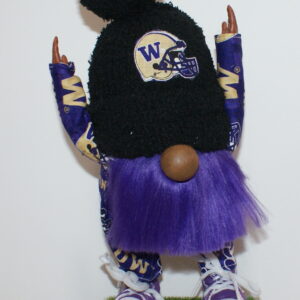 Football UW Huskies 22
