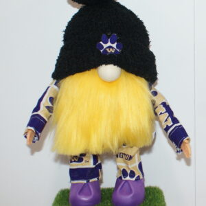 Football UW Huskies 23