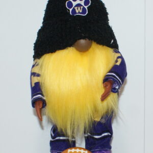 Football UW Huskies 24