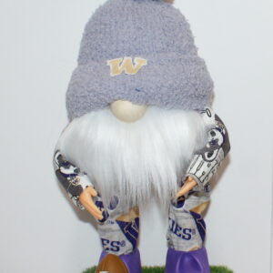 Football - UW Huskies 25