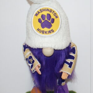 Football UW Huskies 26
