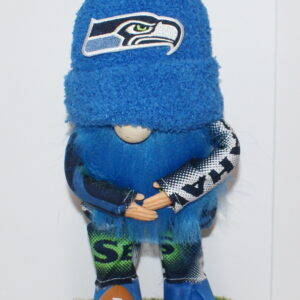 Football Seahawks 37