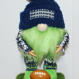 Football Seahawks 38