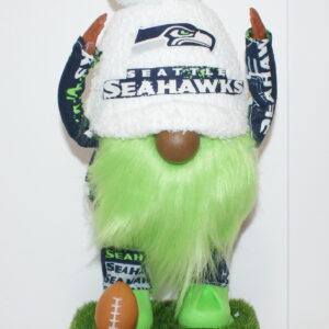 Football Seahawks 39