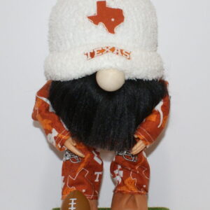 Football Texas Longhorns 5