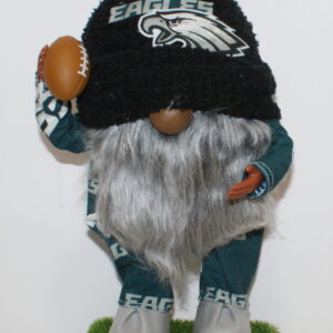 Football Philadelphia Eagle 7