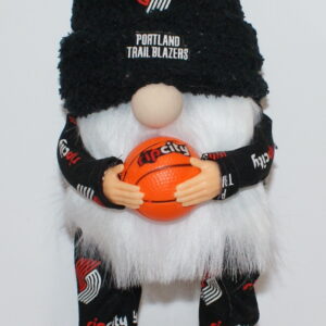 Basketball Portland Trailblazers 2