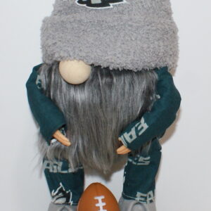 Football Philadelphia Eagles 8