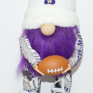 Football UW Huskies 27