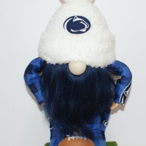 Football Penn State 1