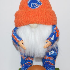 Football Boise State Broncos 1