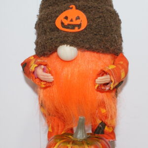 Holiday Gnomes Halloween 14