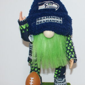 Football Seattle Seahawks 41