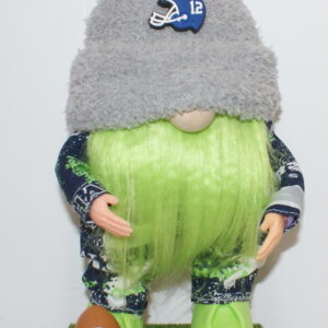 Football Seattle Seahawks 42