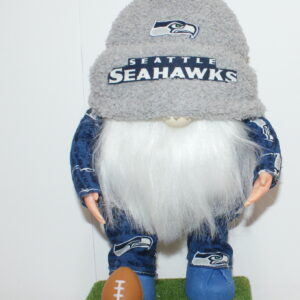 Football Seattle Seahawks 43