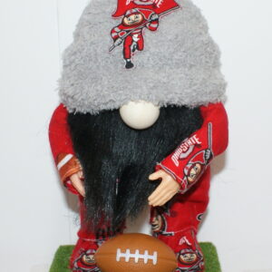 Football Ohio State Buckeyes 8