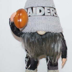 Football LV Raiders 7