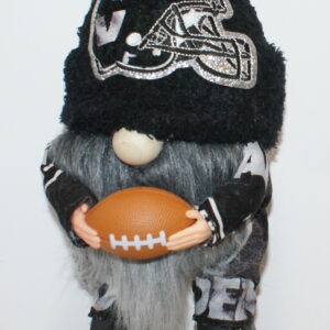 Football LV Raiders 8