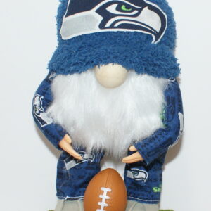 Football Seahawks 45