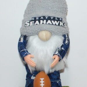 Football Seahawks 46