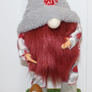 Football WSU Cougars 16