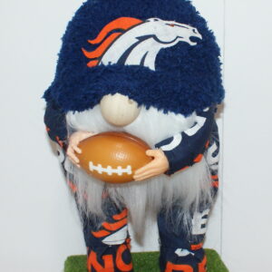 Football Denver Broncos 6
