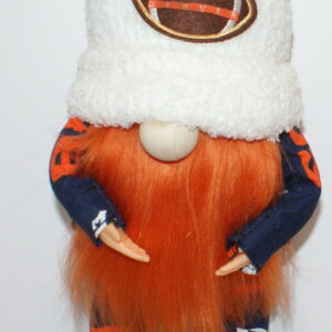 Football Denver Broncos 7