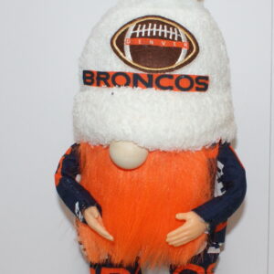 Football Denver Broncos 8