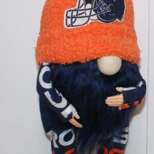 Football Denver Broncos 9