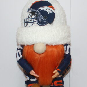 Football Denver Broncos 10