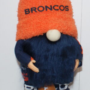 Football Denver Broncos 11