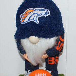 Football Denver Broncos 12