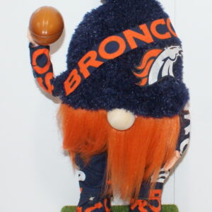 Football Denver Broncos 13