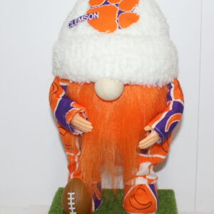 Football Clemson Tigers 1