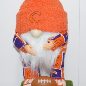 Football Clemson Tigers 2