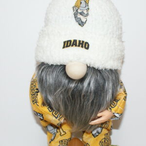 Football Idaho Vandals 1