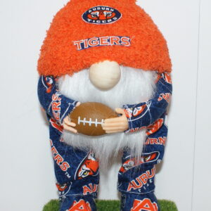 Football Auburn Tigers 1