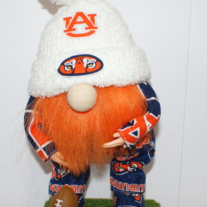 Football Auburn Tigers 2